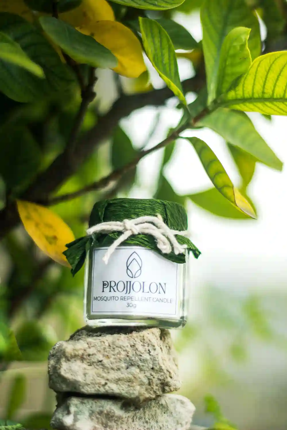 Linden-Apotheke - Pharmazeutische Dienstleistungen & Online-Bestellung - Vater sprüht seinem Sohn im Garten Insektenschutzmittel auf den Arm.
